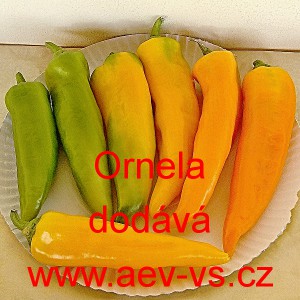 Paprika roční zeleninová Ornela