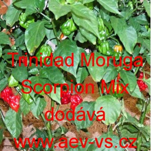 Paprika pálivá čilí Trinidad Moruga Scorpion Mix