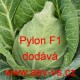 Zelí hlávkové bílé hybridní špičaté Pylon F1