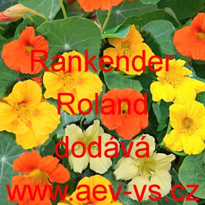 Lichořeřišnice větší, kapucínka Rankender Roland 