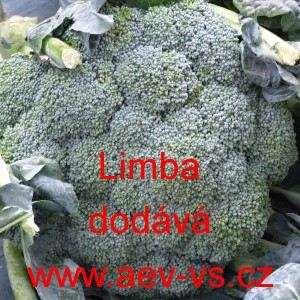 Brokolice Limba