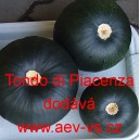 Tykev obecná cuketa kulatá Tondo di Piaceza